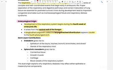 Development of the respiratory system