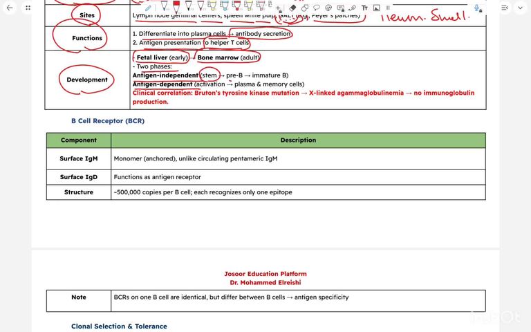 Summary and Review - Part 2