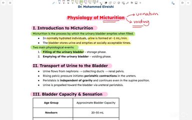 Physiology of micturition