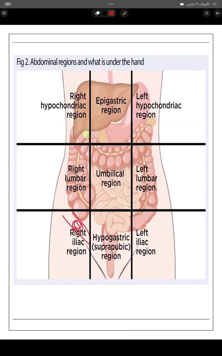 clinic intruduction 3