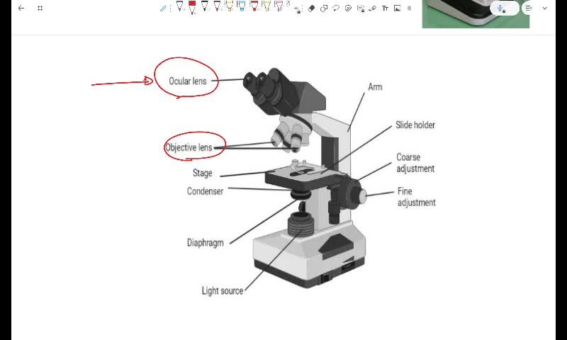 W1 -  Tissue preparation part 2