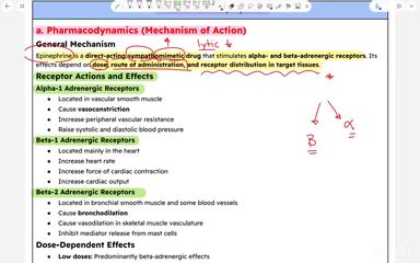 NEW - PBL OBJECTIVES - PART 4
