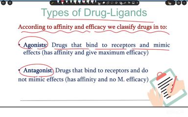 Drug receptors and pharmacodynamics