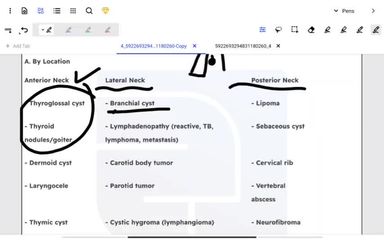 General surgery  Neck mass
