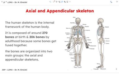 introduction to osteology