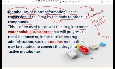 drug metabolism