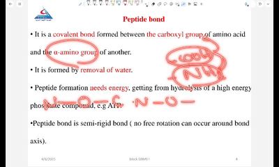 protein chemistry 2