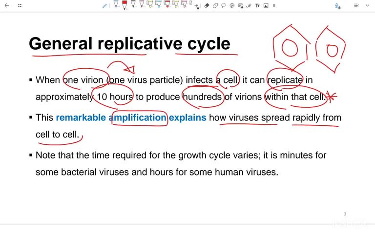 Viral replication and growth cycle