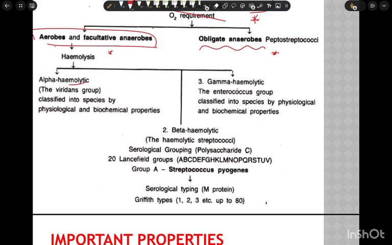 Bacterial skin infections