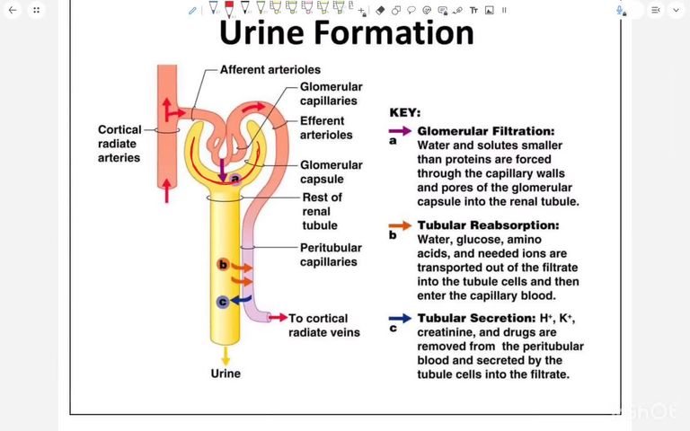 PBL OBJECTIVES - PART 2