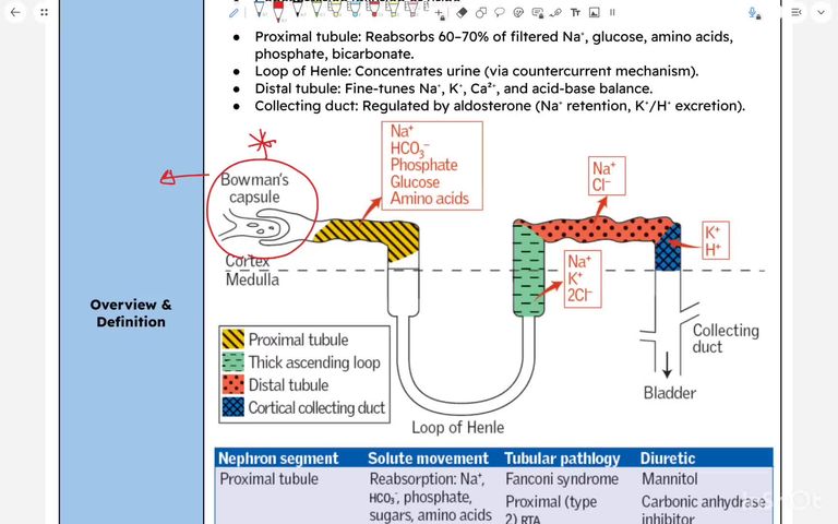 Renal tubular diseases