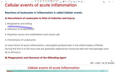 acute inflammation part 2