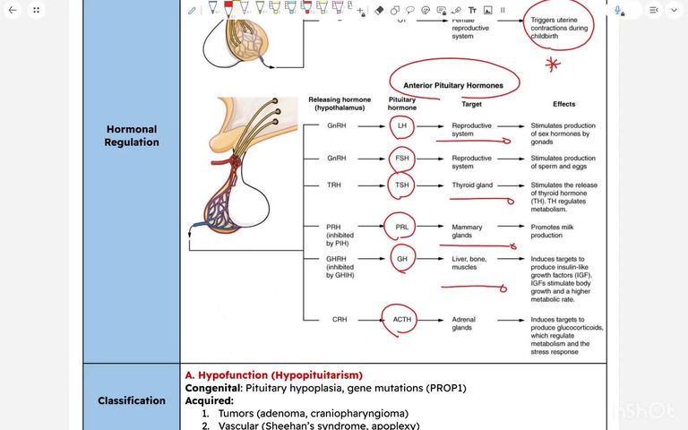 Pituitary diseases