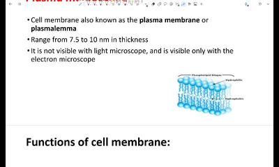 cell membrane and nucleus part 1