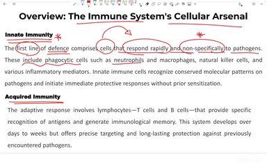 Cellular Basis of immune response