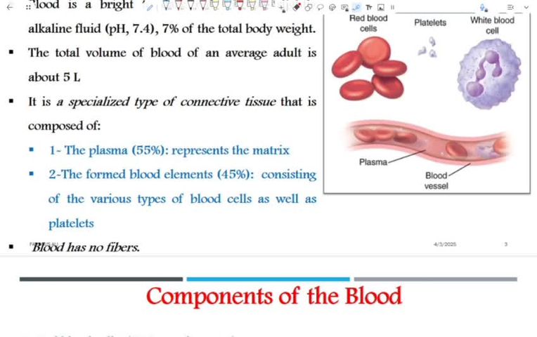 Histology of blood