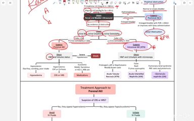 Acute kidney injury part 2