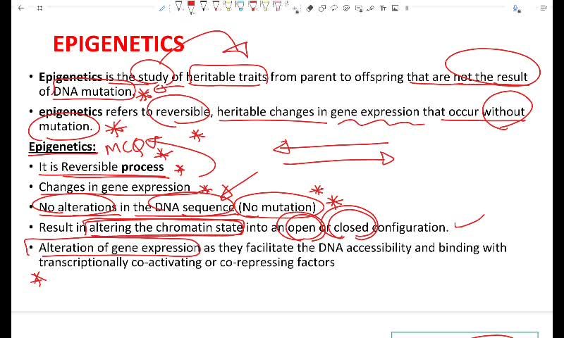 Epigenetics