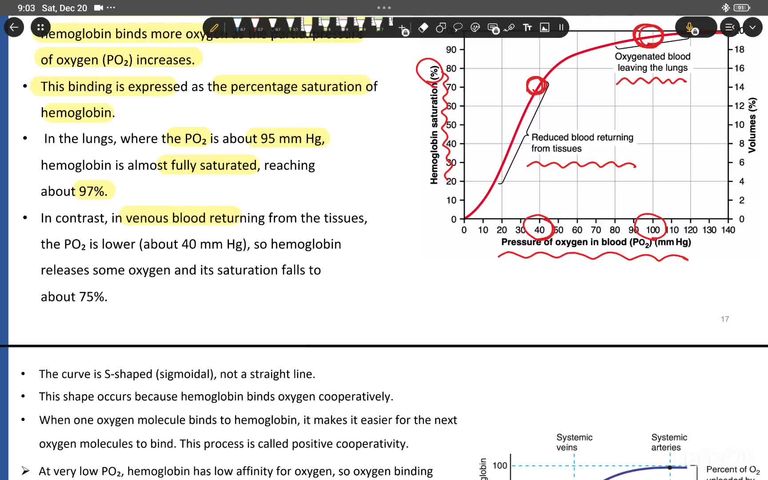 Gas exchange - part 2