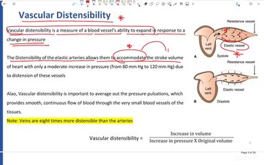 Hemodynamic principles
