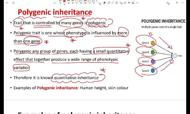 Quantitative Genetics