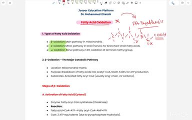Fatty acid oxidation