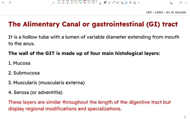 introduction to digestive system