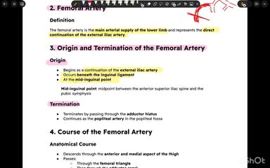 W2 - Summary - part 1
