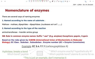 Enzyme II part 1