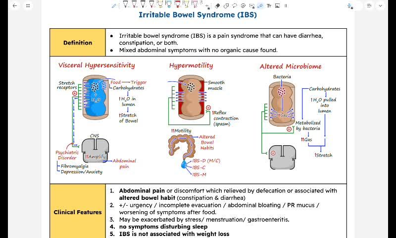 GIT 6 - irritable bowel syndrome (IBS)