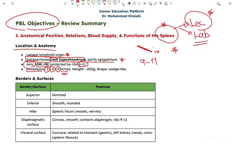 Summary and Review - Part 4