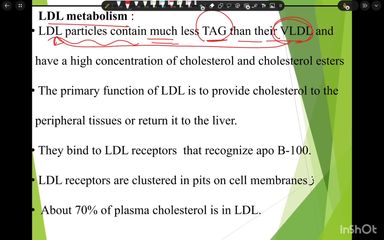 plasma lipoproteins metabolism