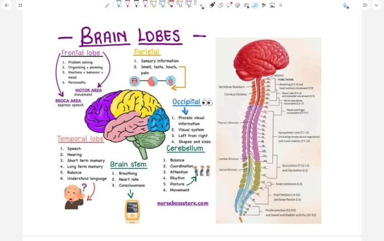 Media for TA objectives