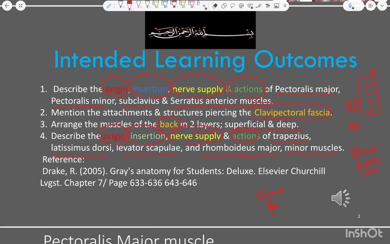 Pectoral muscles and muscles of the back