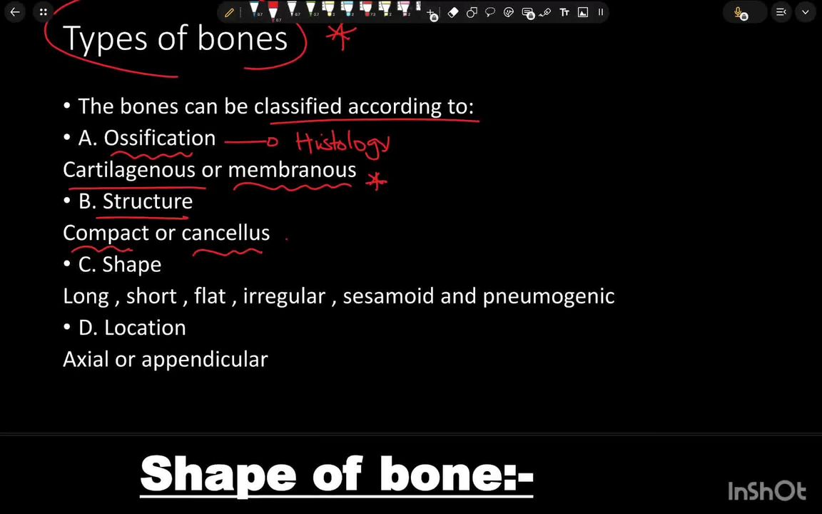 Clavicle, scapula and humerus part 1