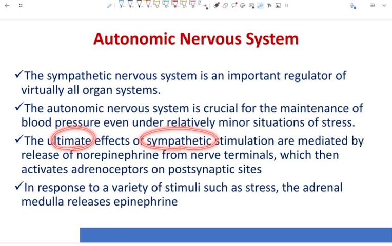 ANS Pharmacology - Adrenergic