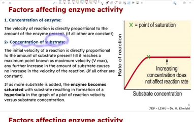 Enzyme II part 2