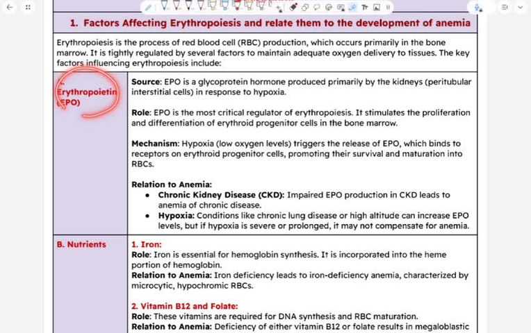 TA OBJECTIVES part 2