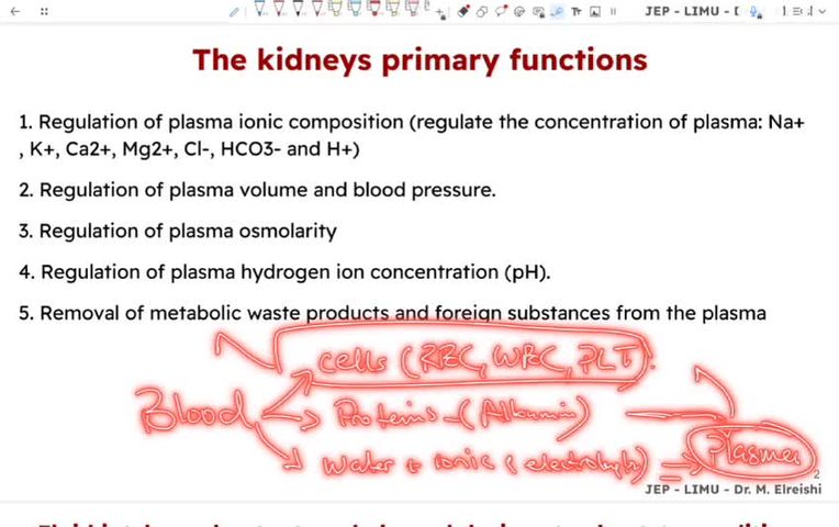 glomerular filtration