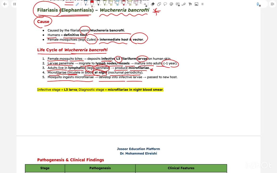 Summary and Review - Part 3