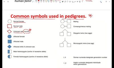 pedigress analysis and mode of inheritance