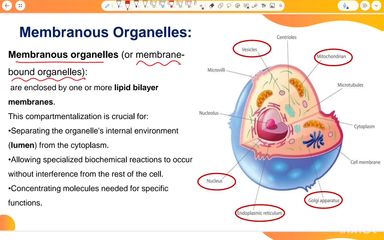 cell organelles