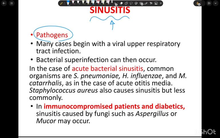 Upper respiratory tract infections