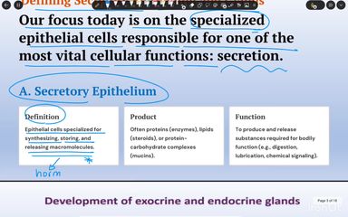 Glandular Epithelium