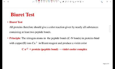 W5 -  Identification of proteins