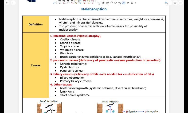 GIT 4 - Malabsorption part 1