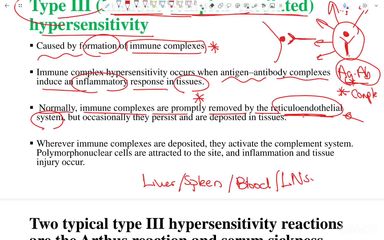 Hypersensitivity 1 - Part 2