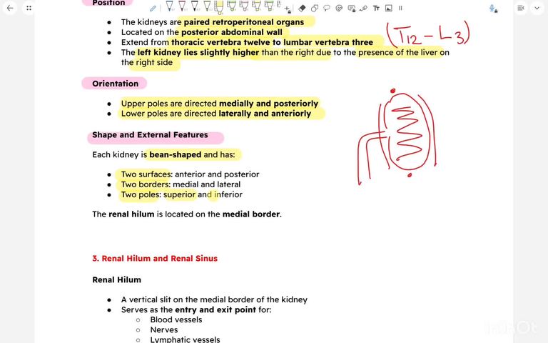 W1 - Summary - part 2