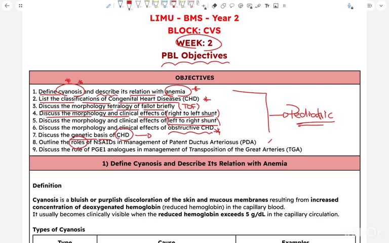 PBL Objectives part 1