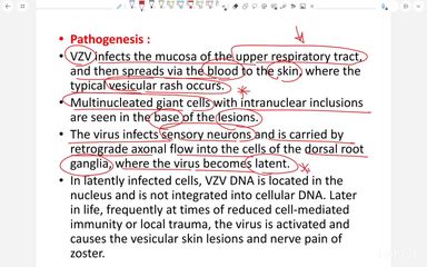 Human Herpes viral infections - part 2